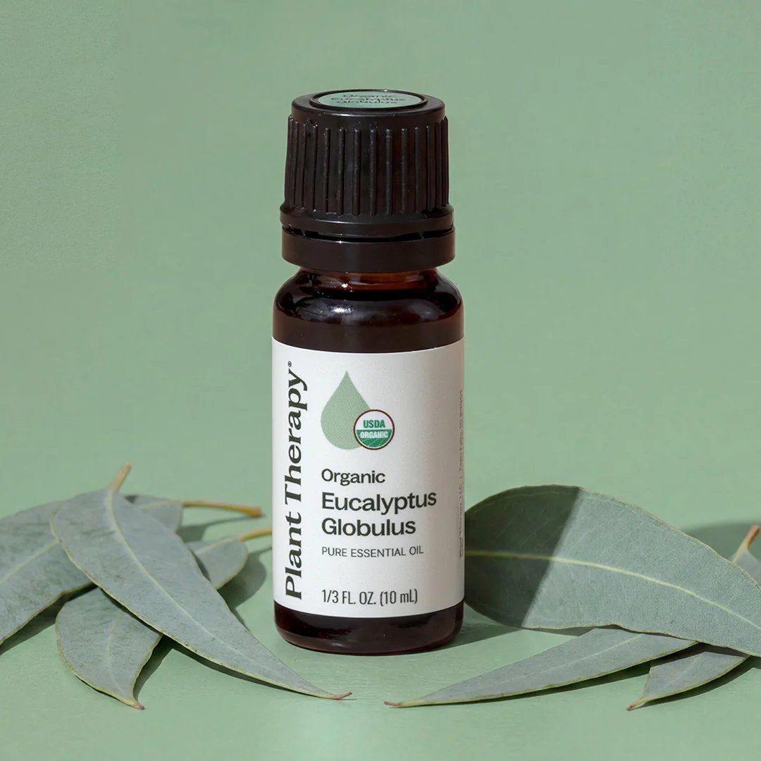 Eucalyptus Globulus Essential Oil